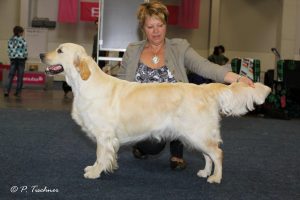 Juwel Dortmund 2012 1e Plaats Tussenklasse